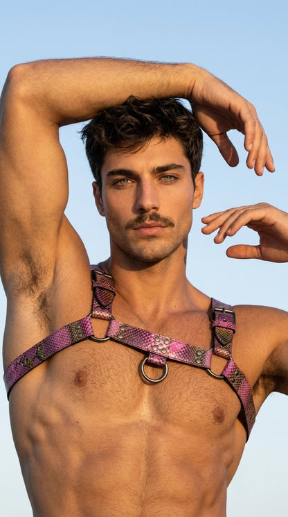 Harness Look