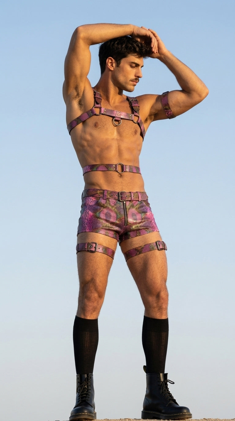 Harness Look
